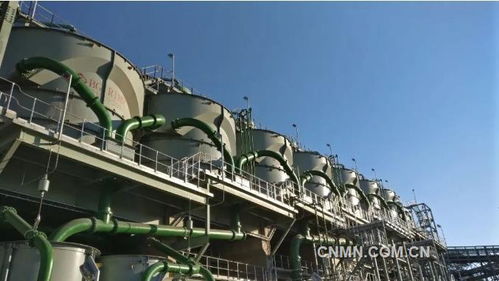 深化六個引領，建設一帶一路精品工程——礦冶集團南非PMC浮選廠總承包項目建設紀實